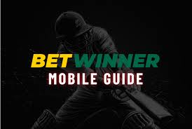 Todo lo que necesitas saber sobre Betwinner Betting 11